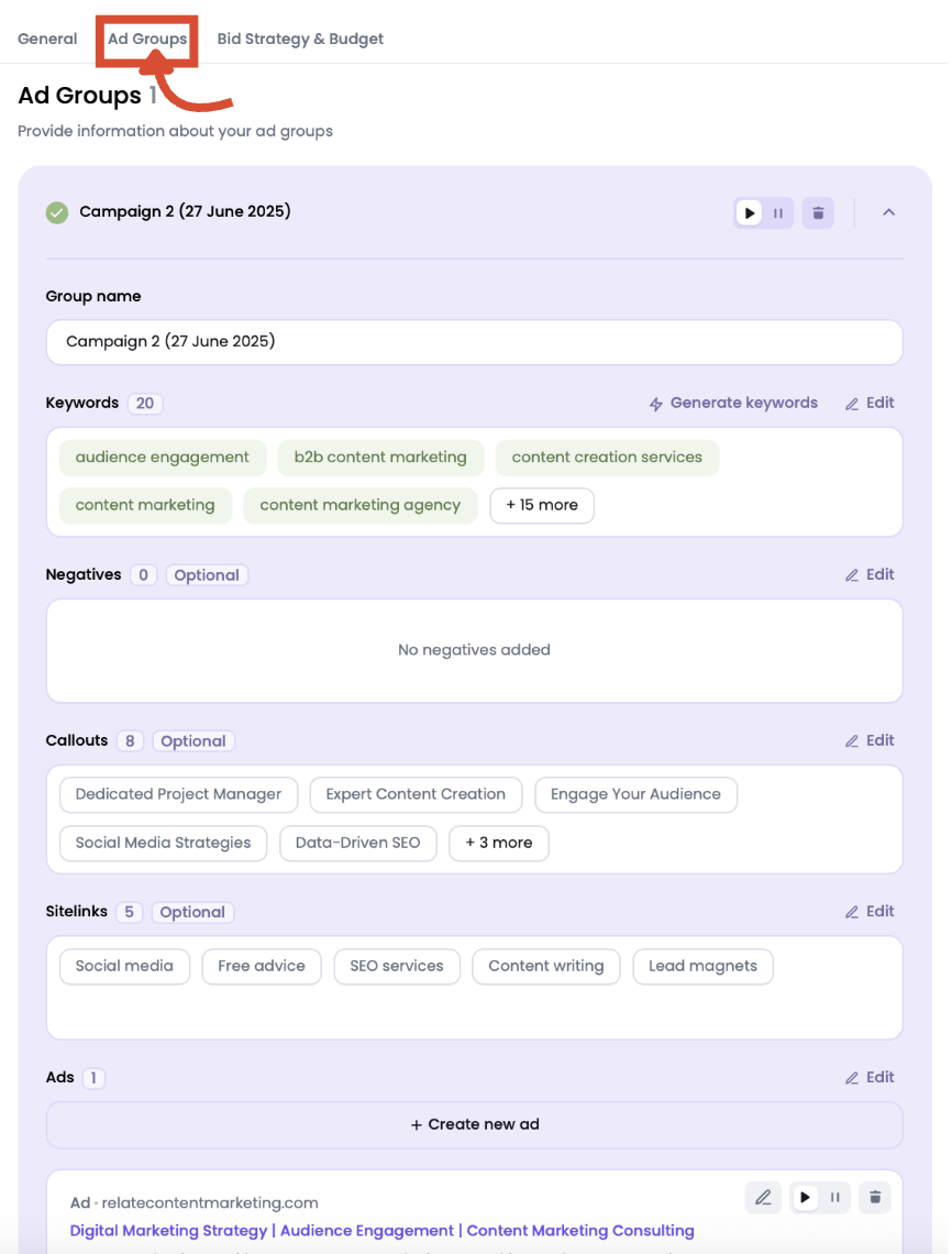 Ad Groups tab in Ads Launch Assistant&rsquo;s advanced Google campaign options.