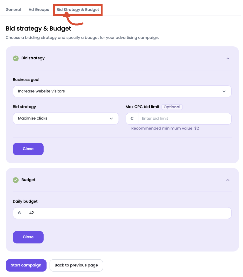 Bid strategy & Budget tab showing business goal, bidding method, max CPC, and daily budget settings.